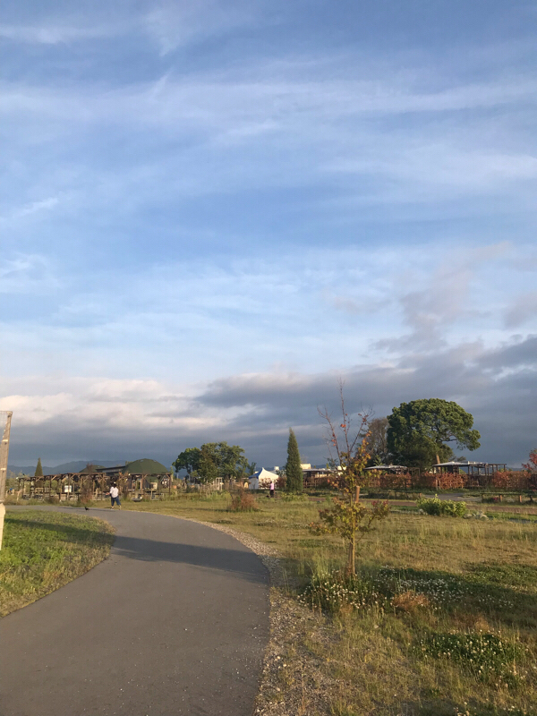 vol.168 タイミングを掴めるヒトはどういうヒト？