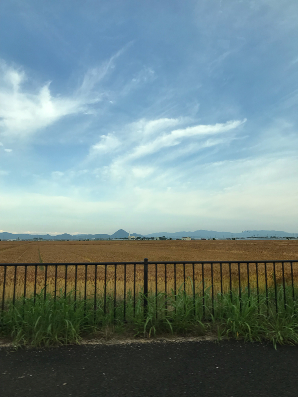 vol.178 身体を変えたい時避ける二大食品