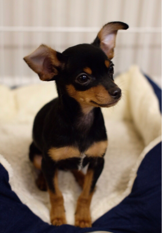 vol.30 人と比べまくるからイイ女になれるんだ❤︎