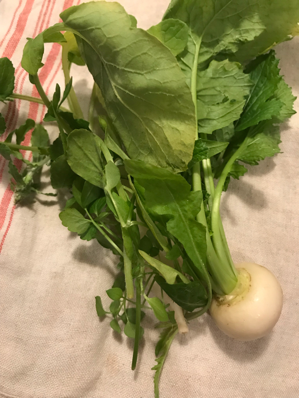 vol.33 イイ女でいたいなら食事を制せ！