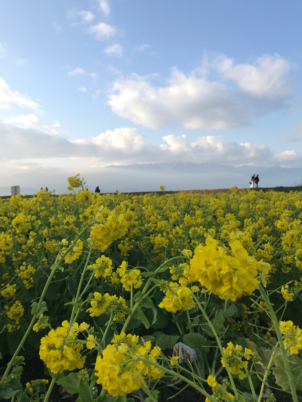 vol.61 イイ女は自然のパワーを味方にする❤︎