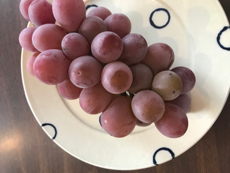 vol.210 体のリズムを整えよう