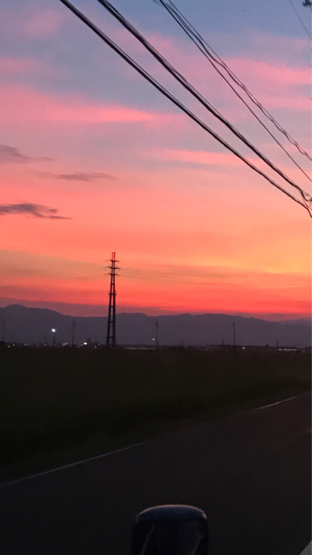 vol.211 生理は身体の中を知る手がかり