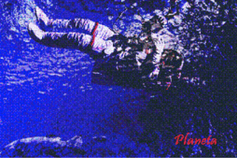 わたしが折原臨也に夢を見る理由②