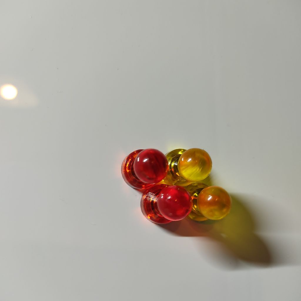 #3 【サバイバル】自立とはなにか？