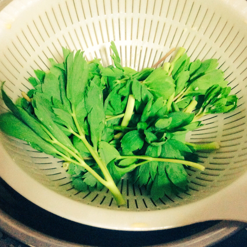 長命草(サクナ)の話