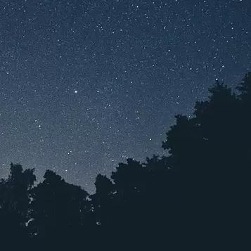 2022-10-09-日曜日の夕方