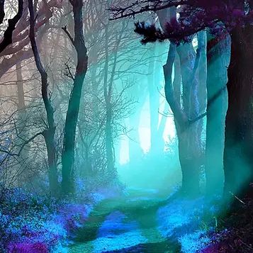 2022-11-20-真夜中の日曜日-