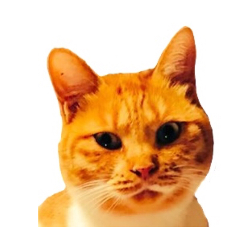 グダグダ雑談〜〜