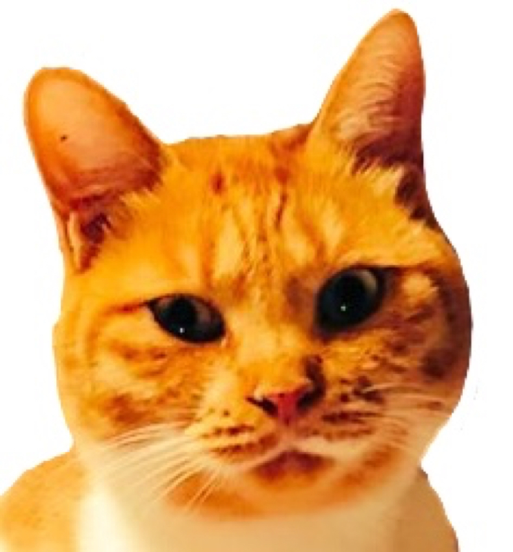 沖矢昴について語る