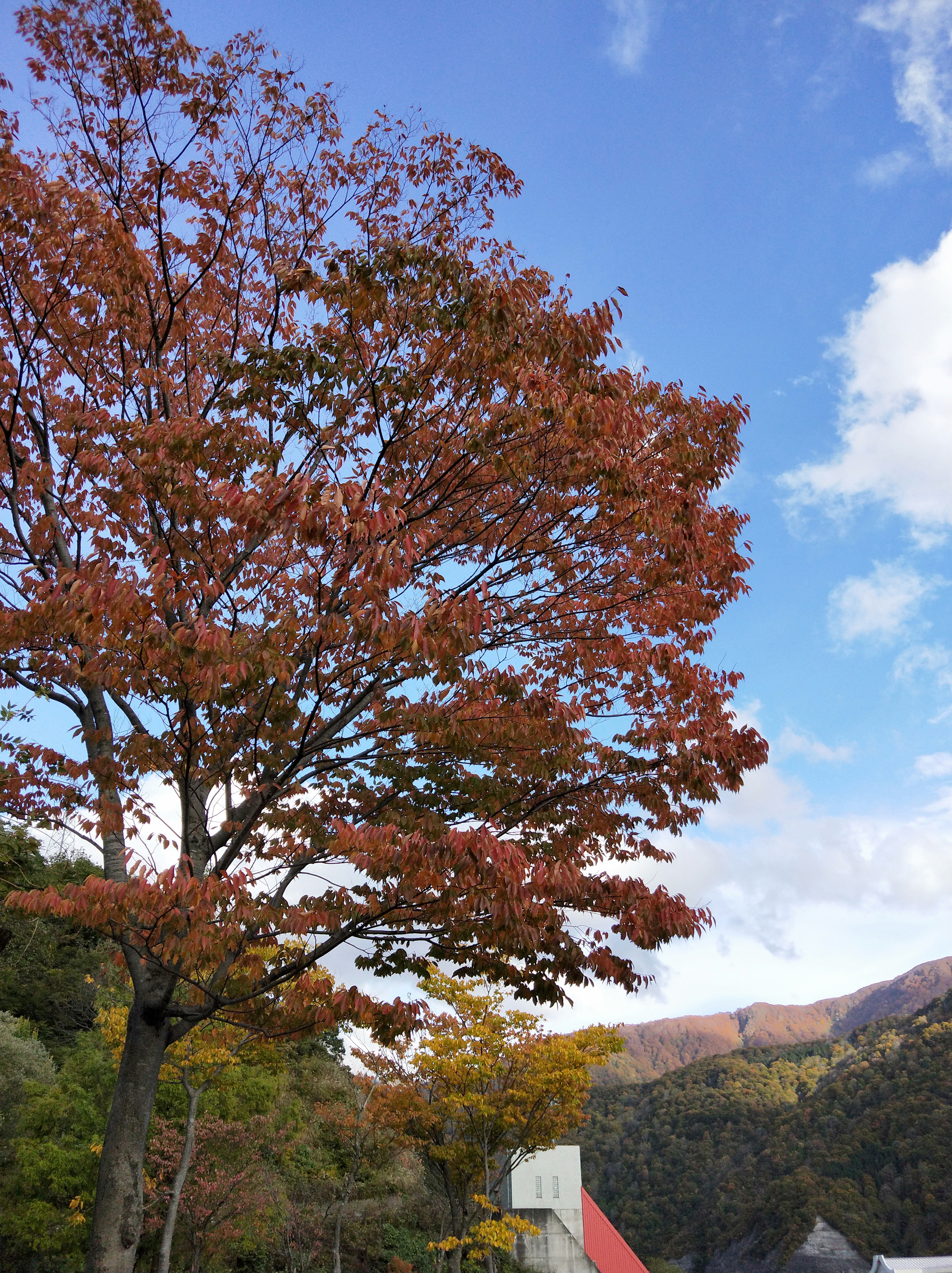 #1　はじめまして02と申します。