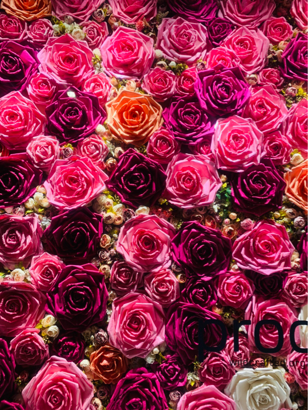 なに話してるかわからない雑談