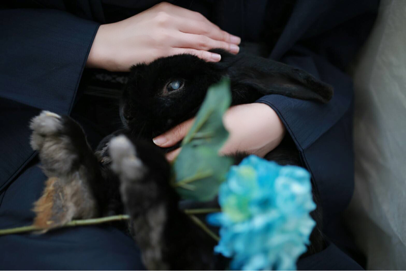 推しの命日だったから推しについて語る①