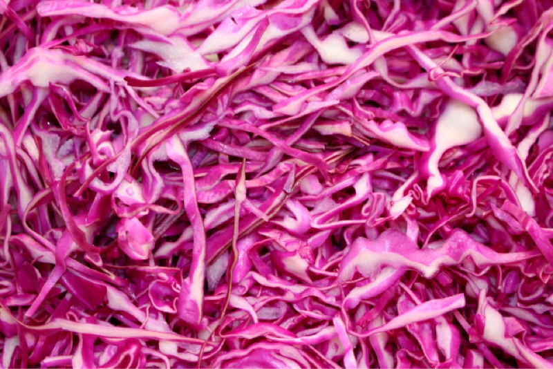 すごろくでひとりであそんでいるよ2(前編)