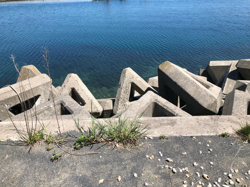 後半ただの強火力愚痴だよこれ。