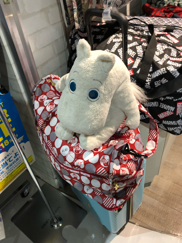ぎずも