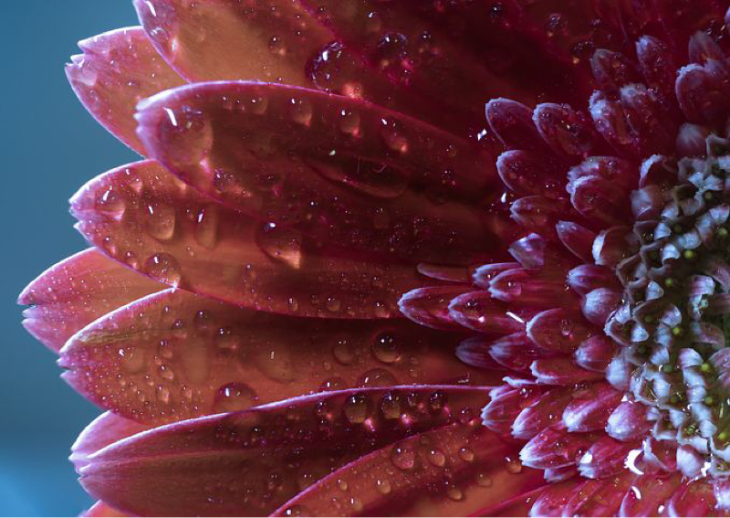 おしかぷちゃん語らNight #2