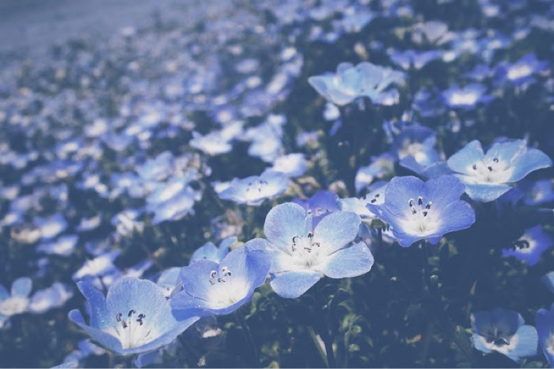 ヒロアカ読むだけ