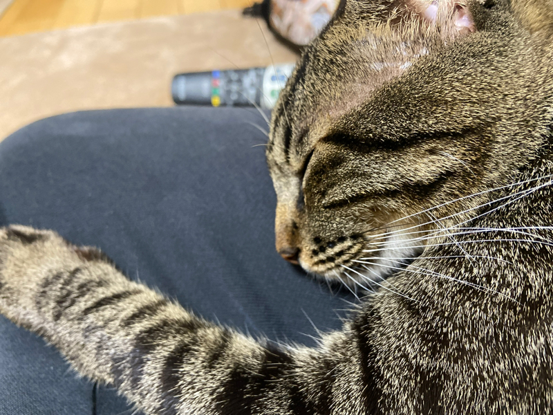 年齢の話