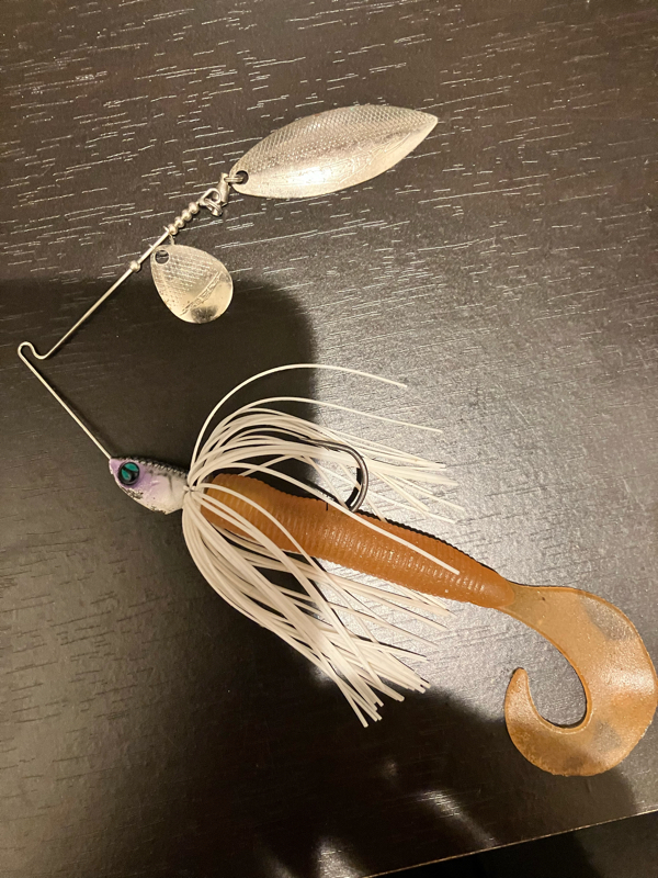 釣具屋のひとりごとVol.1【DAIWA STEEZ スピナーベイト】