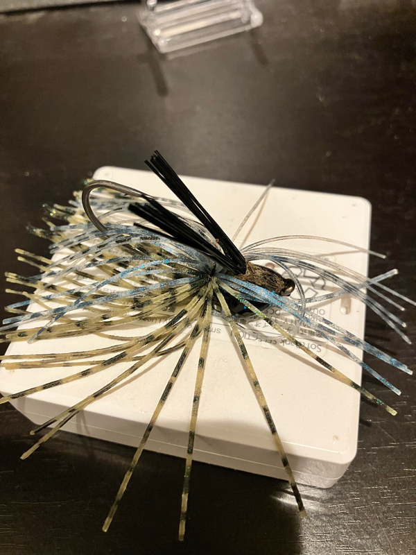 釣具屋のひとりごとVol.4【DAIWA カバージグSS】