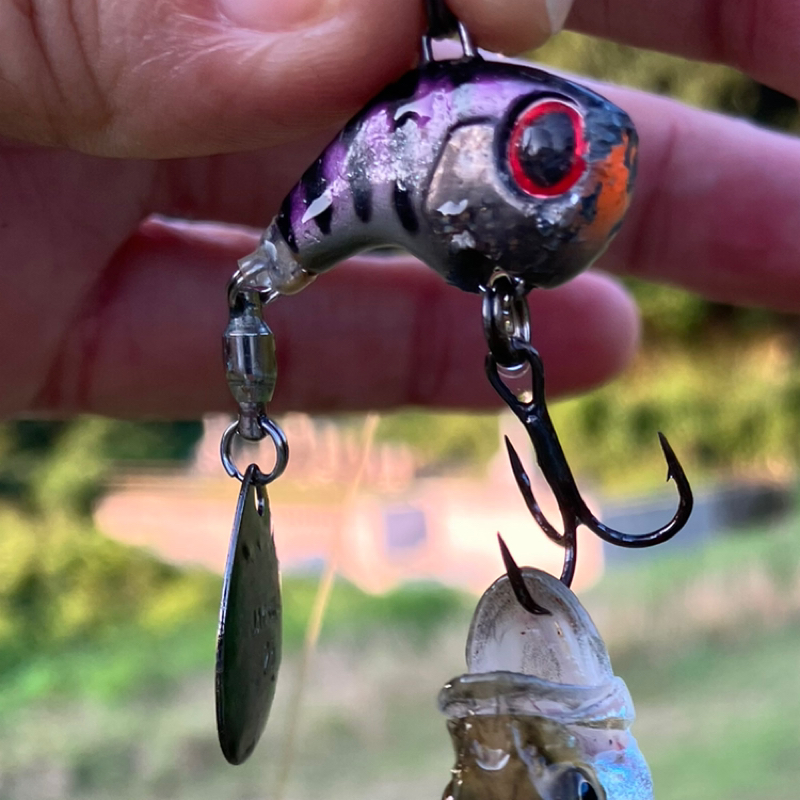 【木曜日】色んなルアーがあるあ~る