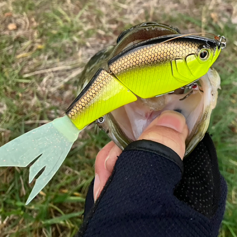 【木曜日】色んなルアーがあるあ～る『DAIWA/スティーズ アプナスジョイント』