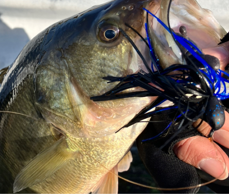 【火曜日】ニュース一本釣り『Basser Allstar Classic2025』