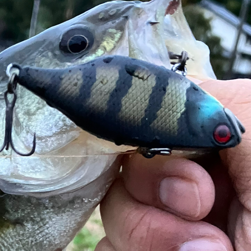 【木曜日】色んなルアーがあルア～る『TN/60』