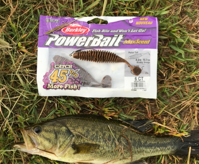 【木曜日】色んなルアーがあルア～る『Barkley/パルステール』