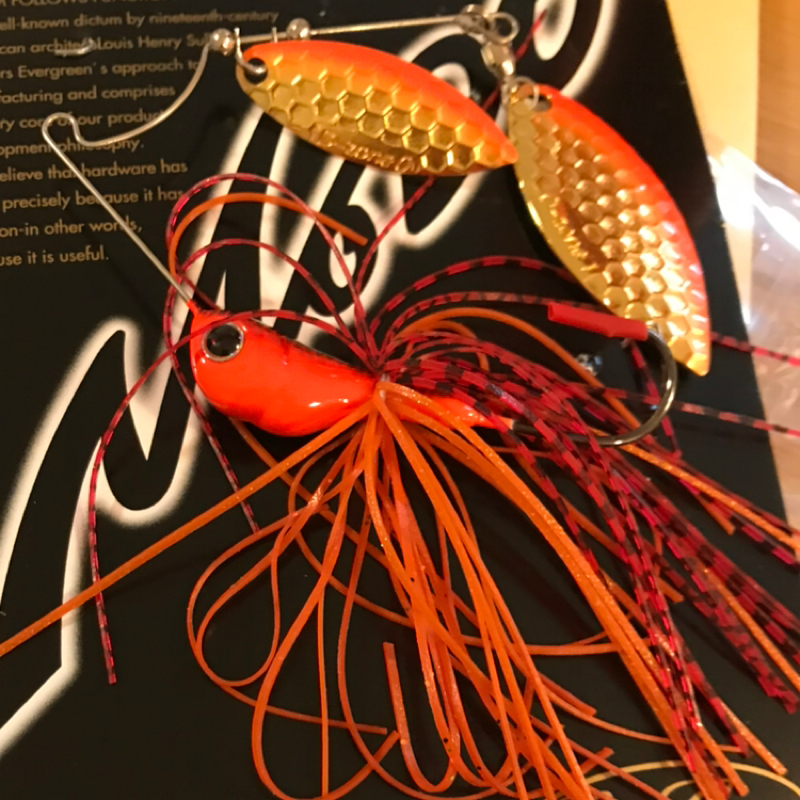 【木曜日】色んなルアーがあルア～る『D-ZONE』