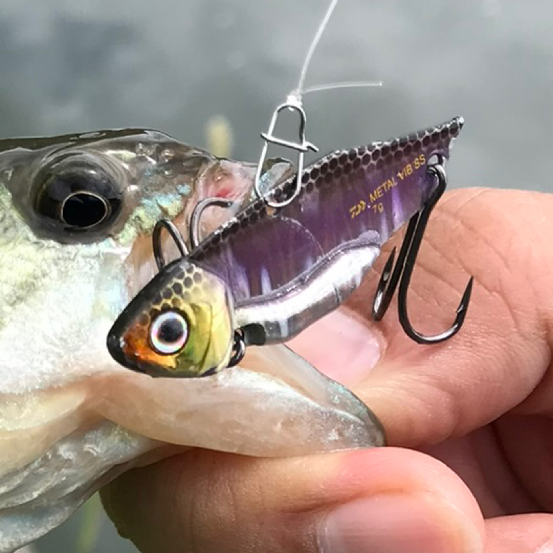 【木曜日】色んなルアーがあルア～る『DAIWA/ﾒﾀﾙﾊﾞｲﾌﾞSS』