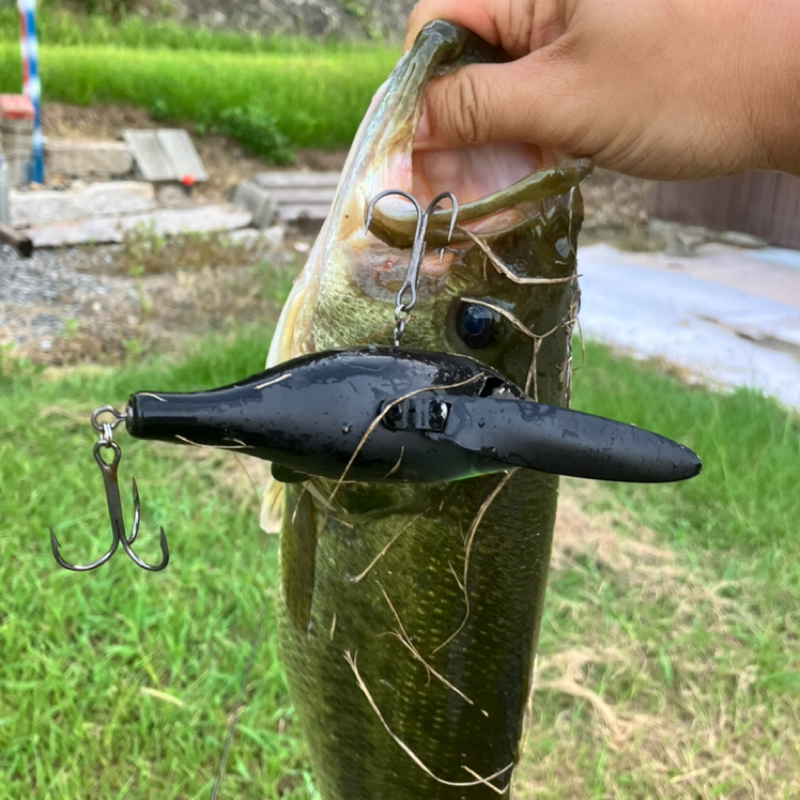 【木曜日】色んなルアーがあルア～る『バンクフラッター』