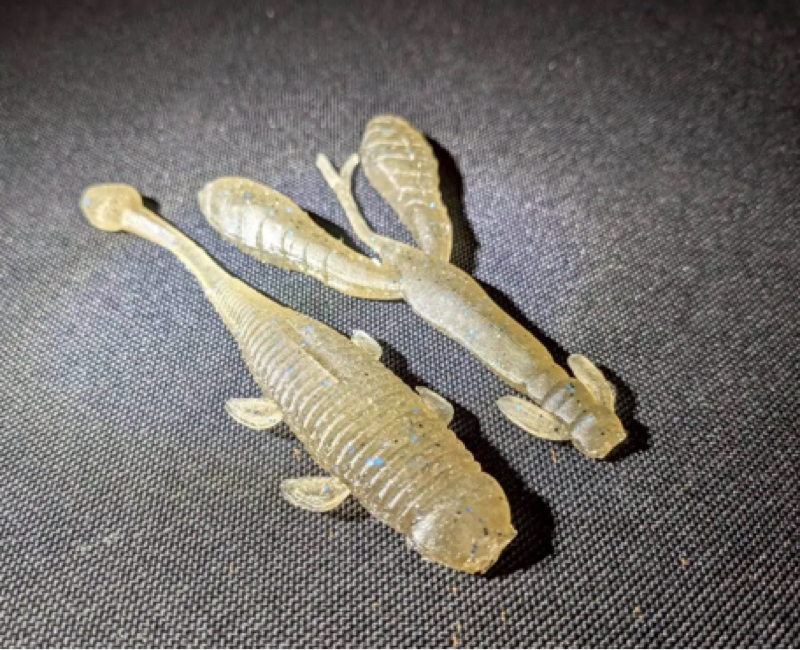 【火曜日】ニュース一本釣り『淀川アングラー必聴』