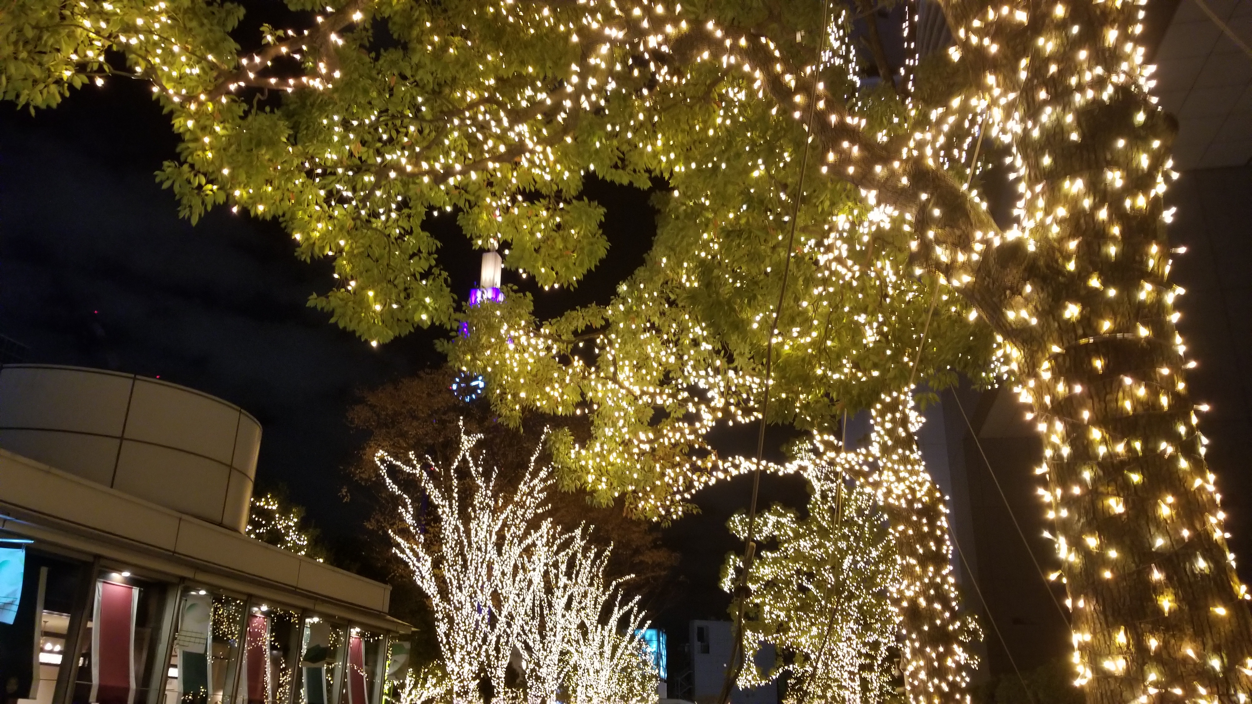 たかさんのラッピ