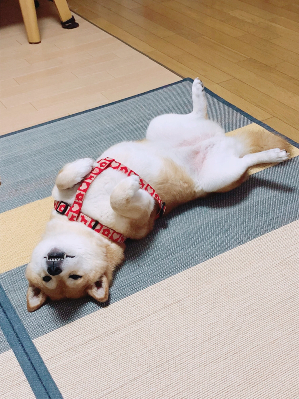 心も肌もカサカサよ