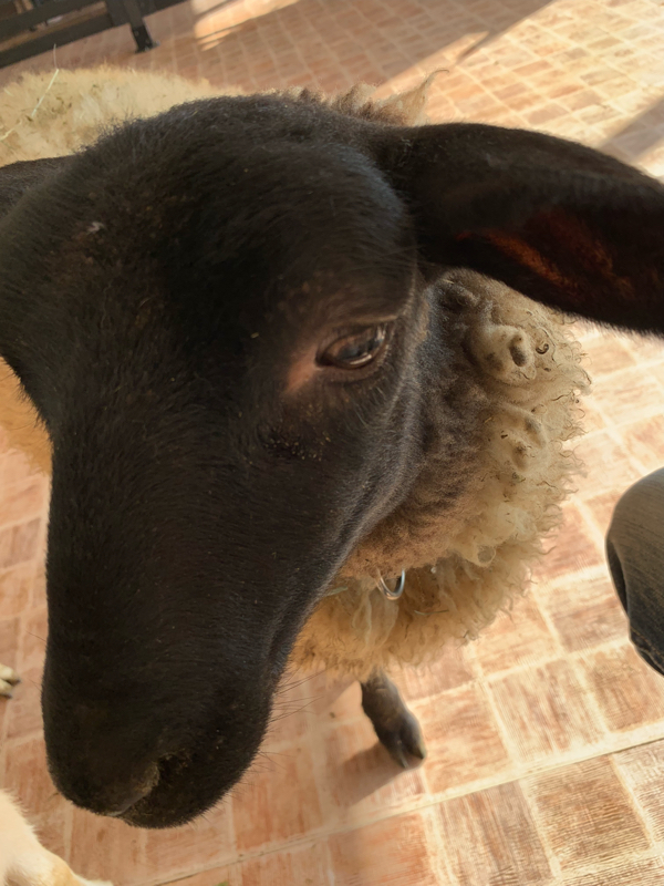 出勤直前ラジオ