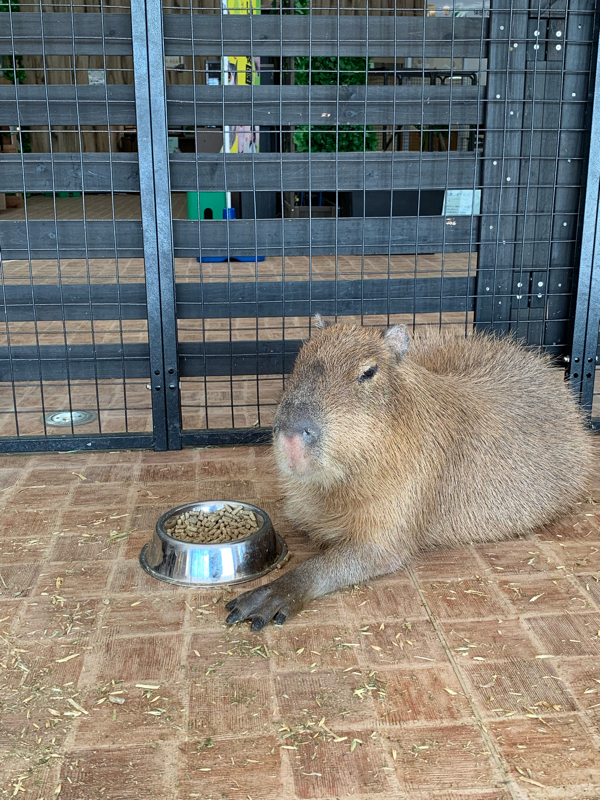 とりあえず喋った