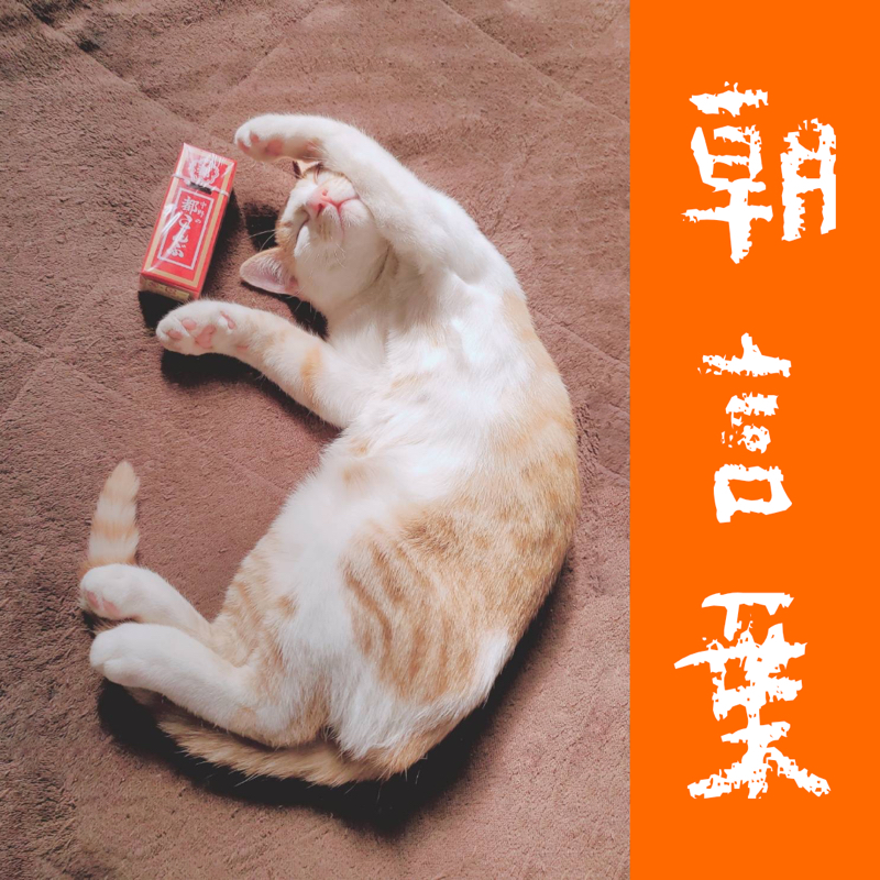 朝言葉　