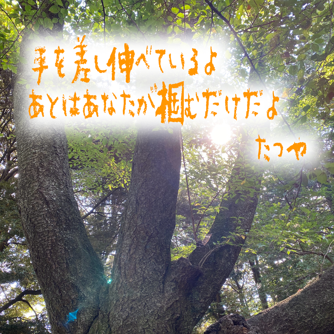 ＃５　手を差し伸べているよ　あとはあなたが掴むだけだよ