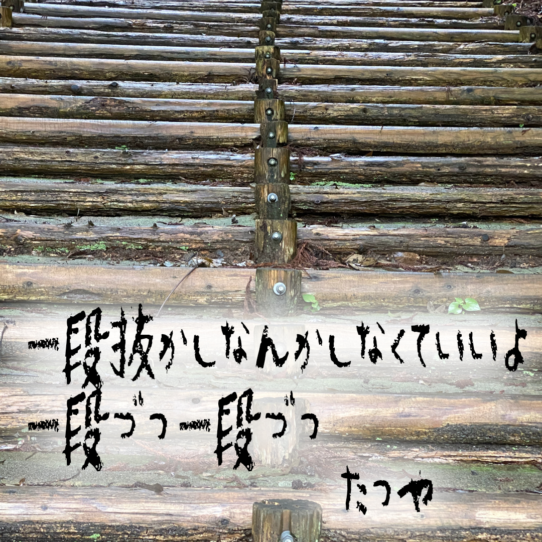 ＃６　一段抜かしなんかしなくていいよ　一段づつ一段づつ