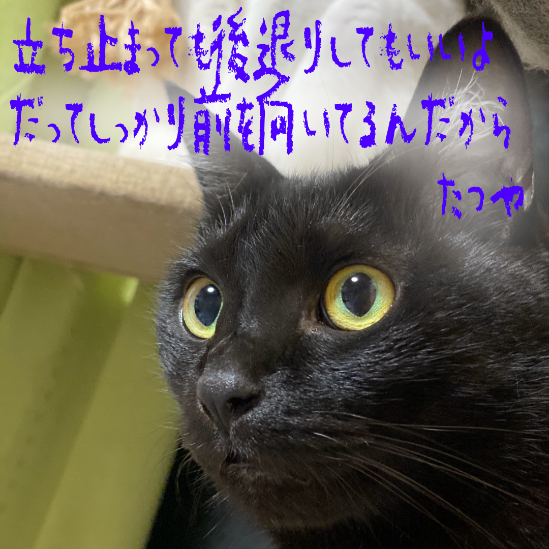 ＃１０　立ち止まっても後退りしてもいいよ　だってしっかり前を向いてるんだから