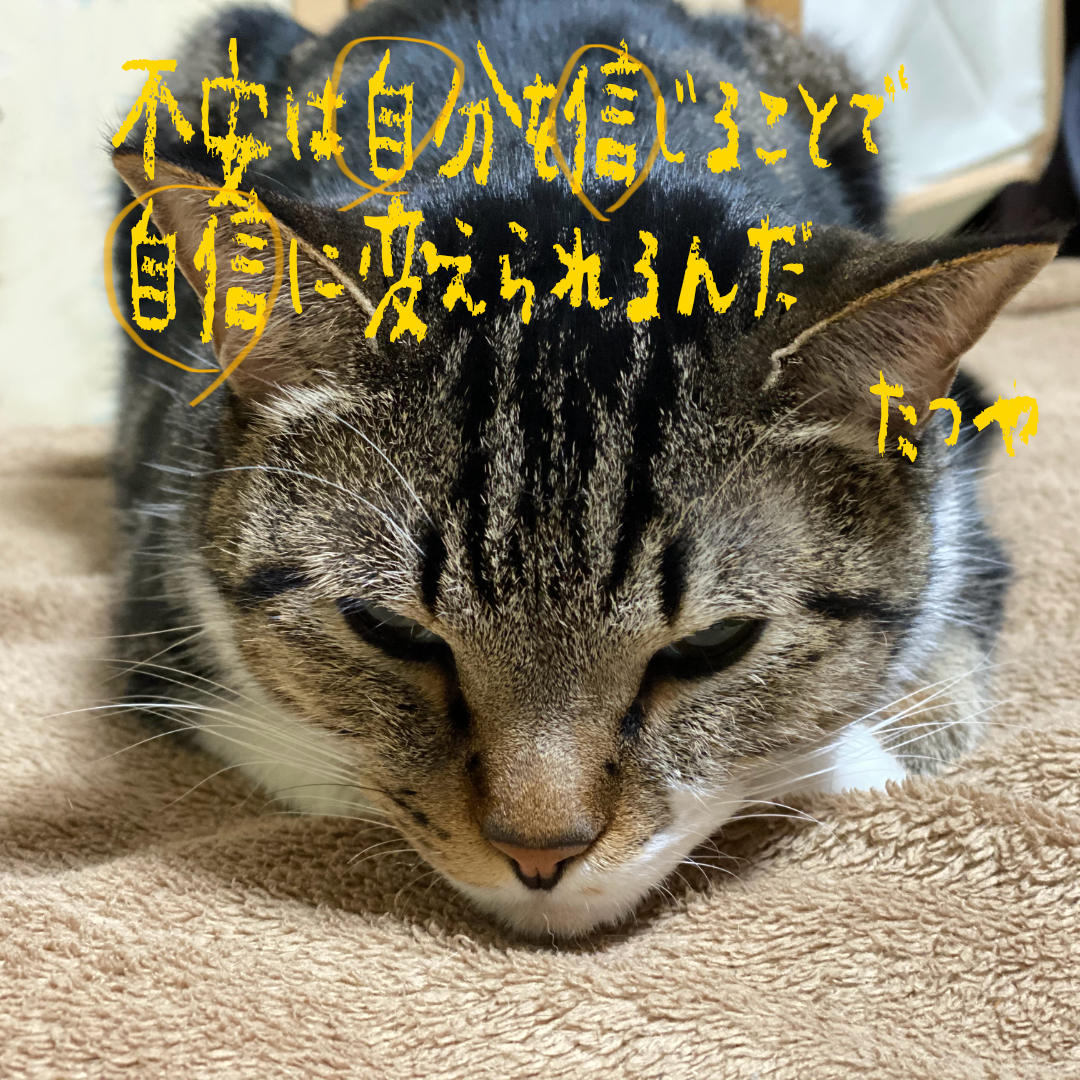 ＃１２　不安は自分を信じることで　自信に変えられるんだ