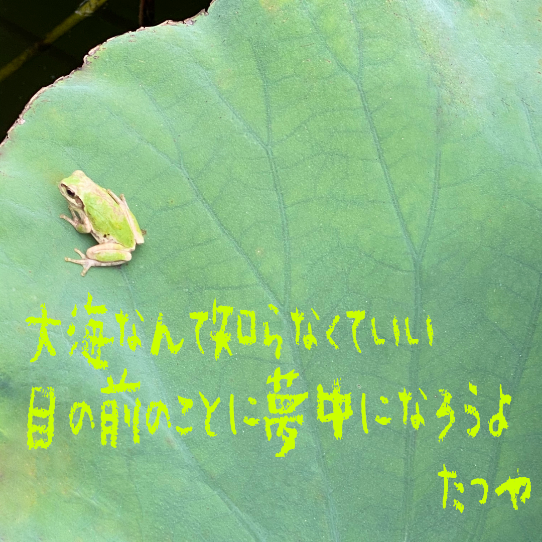 ＃１３　大海なんて知らなくていい　目の前のことに夢中になろうよ