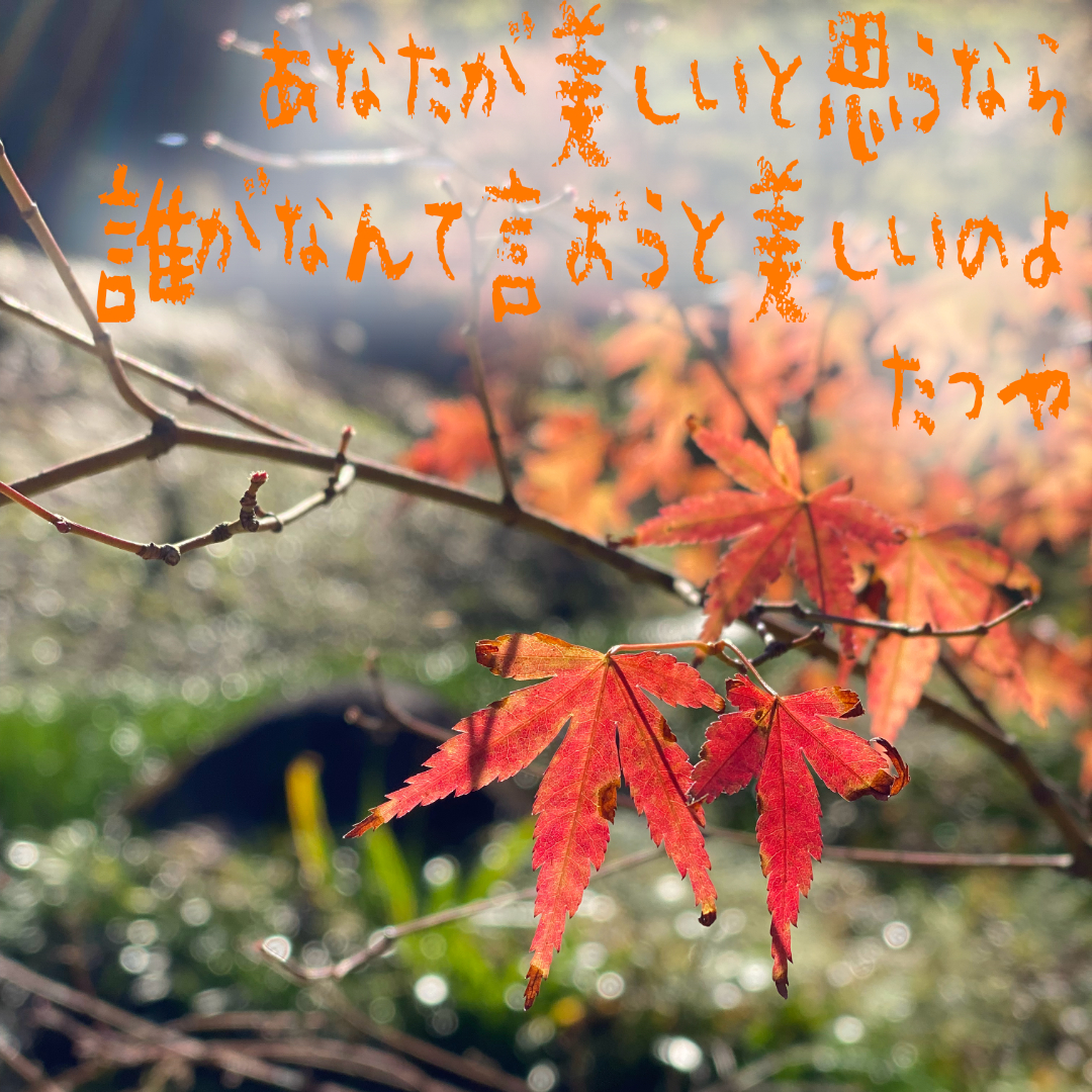 ＃１６　あなたが美しいと思うなら　誰がなんて言おうが美しいのよ
