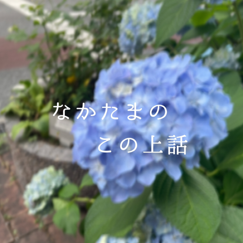 最近観た/観ているドラマの話