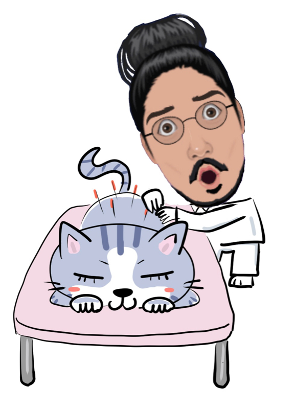 #6 今日は実技授業でした