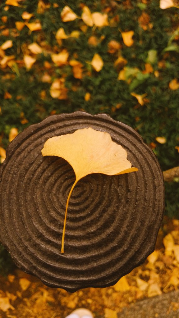 【第2回】歌会テーマのお話