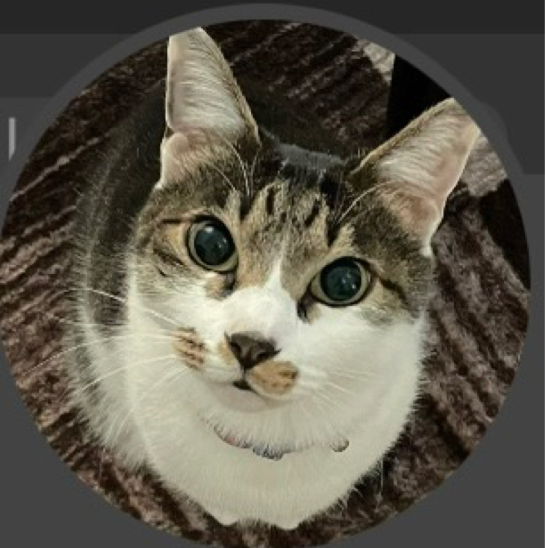 ツナリスト