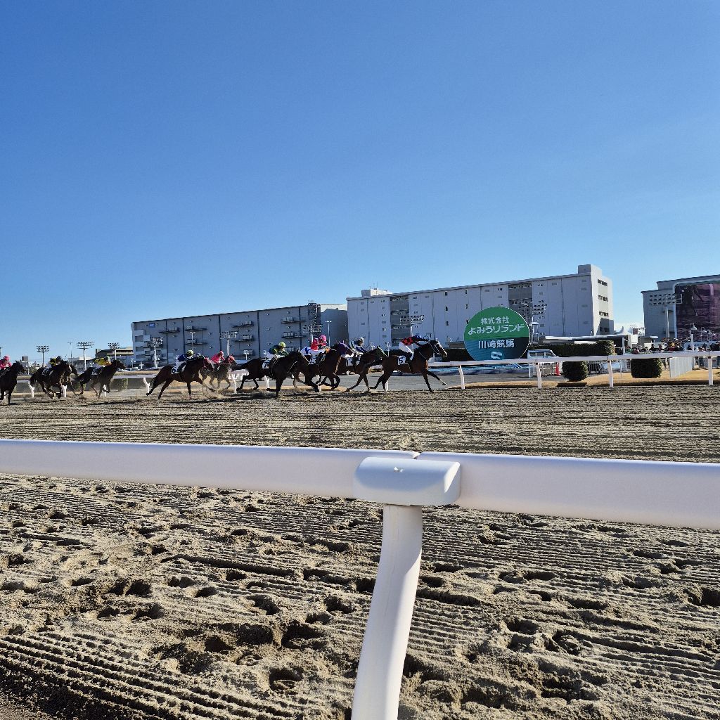 元旦に川崎競馬場に行ってきました🐎